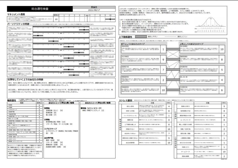 ミイダスコンピテンシー診断結果